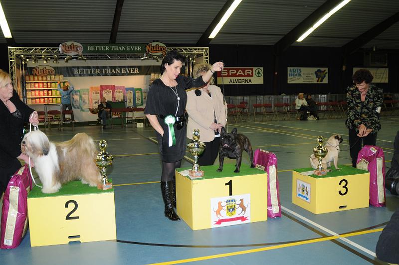 kerstshow 2008 026.jpg